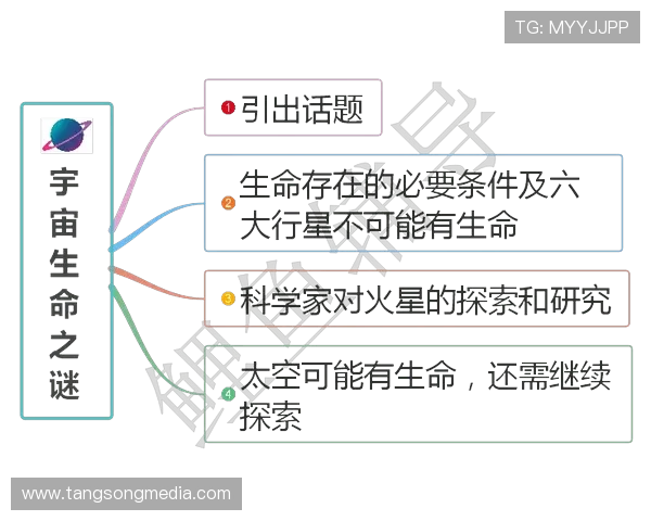 武汉乒乓球队的精神探索与发展之路揭秘