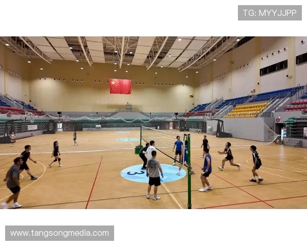 武汉排球队的崛起与发展:探索排球运动的力量与未来潜力