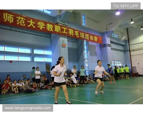 北京羽毛球队团队协作深度解析与其他球队的对比研究